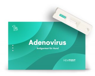 Adenovirus II Antigen Test för Hund