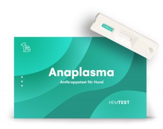 Anaplasma antikroppstest för hund