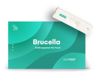 Brucella Antikroppstest för Hund