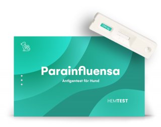 Parainfluensavirus Antigen Test för Hund