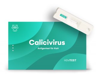 Calicivirus Antigen Test för Katt
