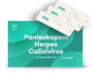 Panleukopeni-/Herpesvirus-/Calicivirus Kombotest för Katt