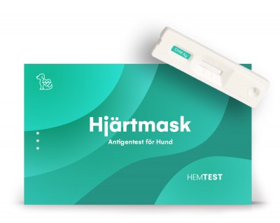 Hjärtmask-anitigentest för Hund