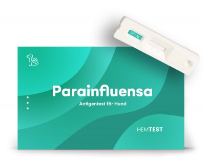 Parainfluensavirus Antigen Test för Hund