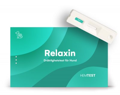 Dräktighets Relaxin Test för Hund
