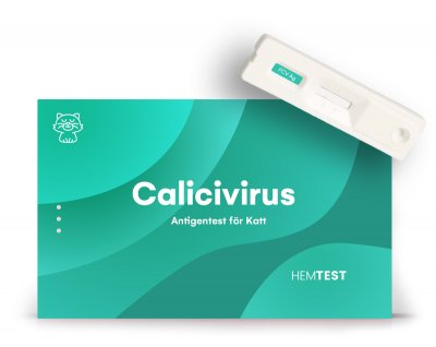 Calicivirus Antigen Test för Katt