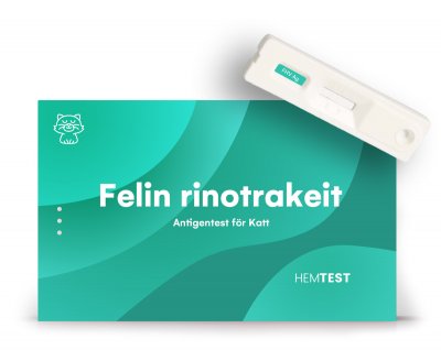 Viral Rinotrakeit Antigen Test för Katt