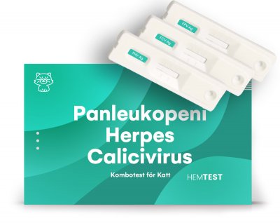 Panleukopeni-/Herpesvirus-/Calicivirus Kombotest för Katt